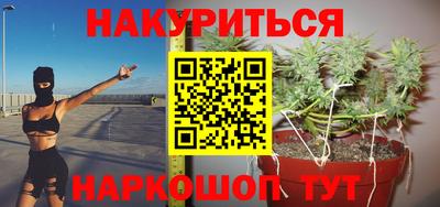 ешки Бийск