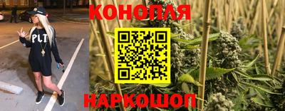 ешки Бийск