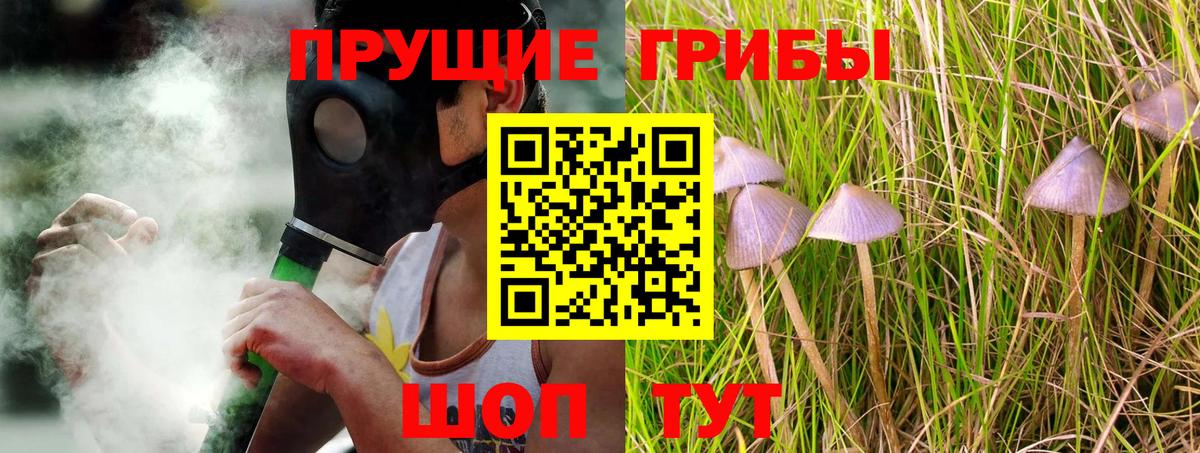Галлюциногенные грибы Psilocybine cubensis  Псилоцибиновые грибы GOLDEN TEACHER  Вход с VPN  Кемерово 